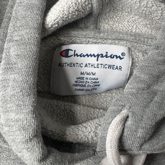 Men's or Unisex Champion Sweatshirt Hoodie Gray Size Medium - Picture 3 of 5
